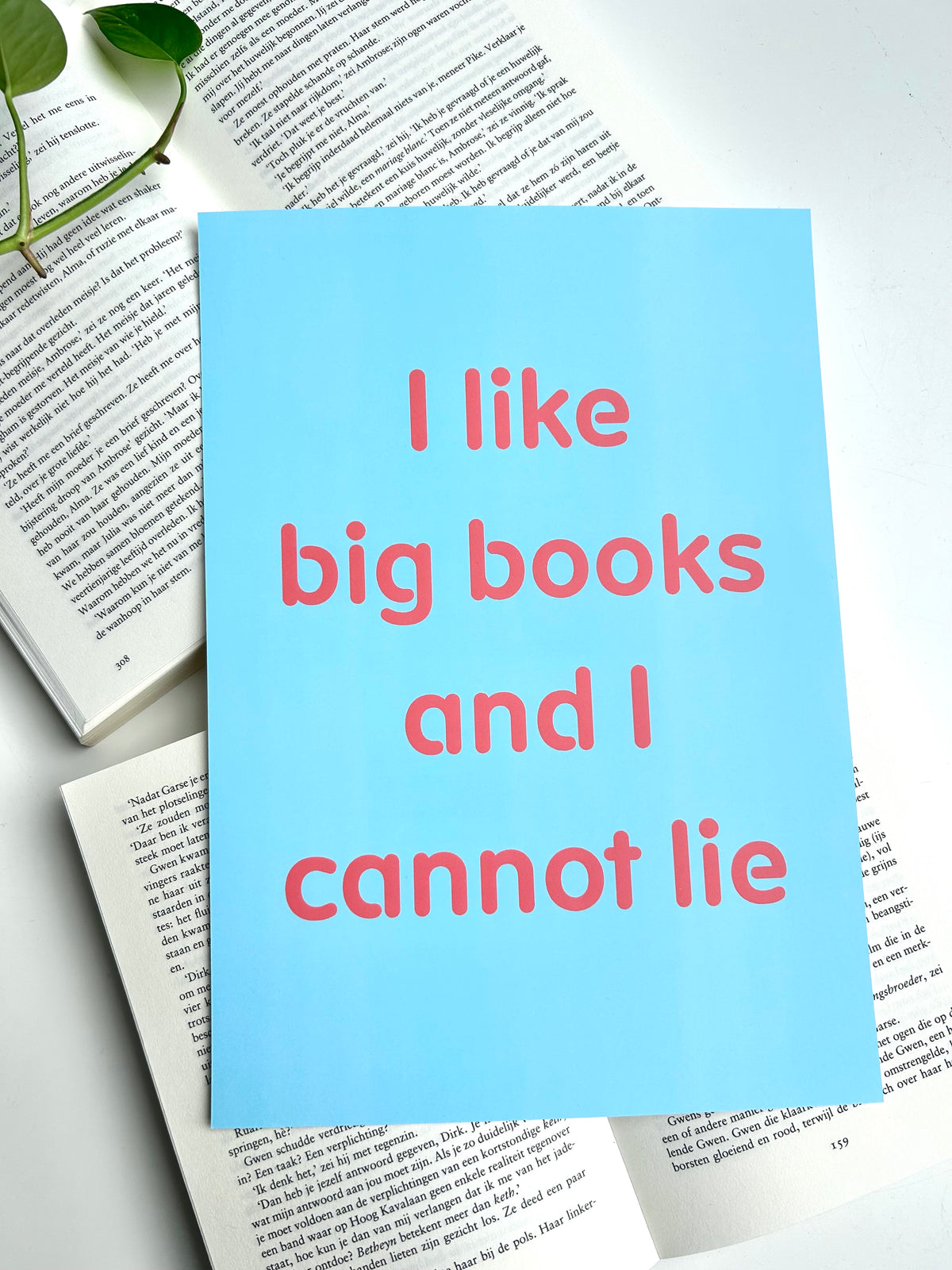 A4 Poster “I like big books and I cannot lie”